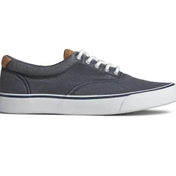 Men's Sperry, Striper II CVO Sneaker