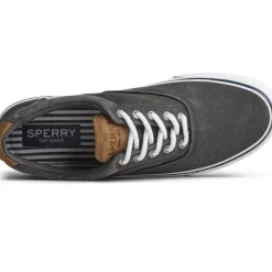 Men's Sperry, Striper II CVO Sneaker